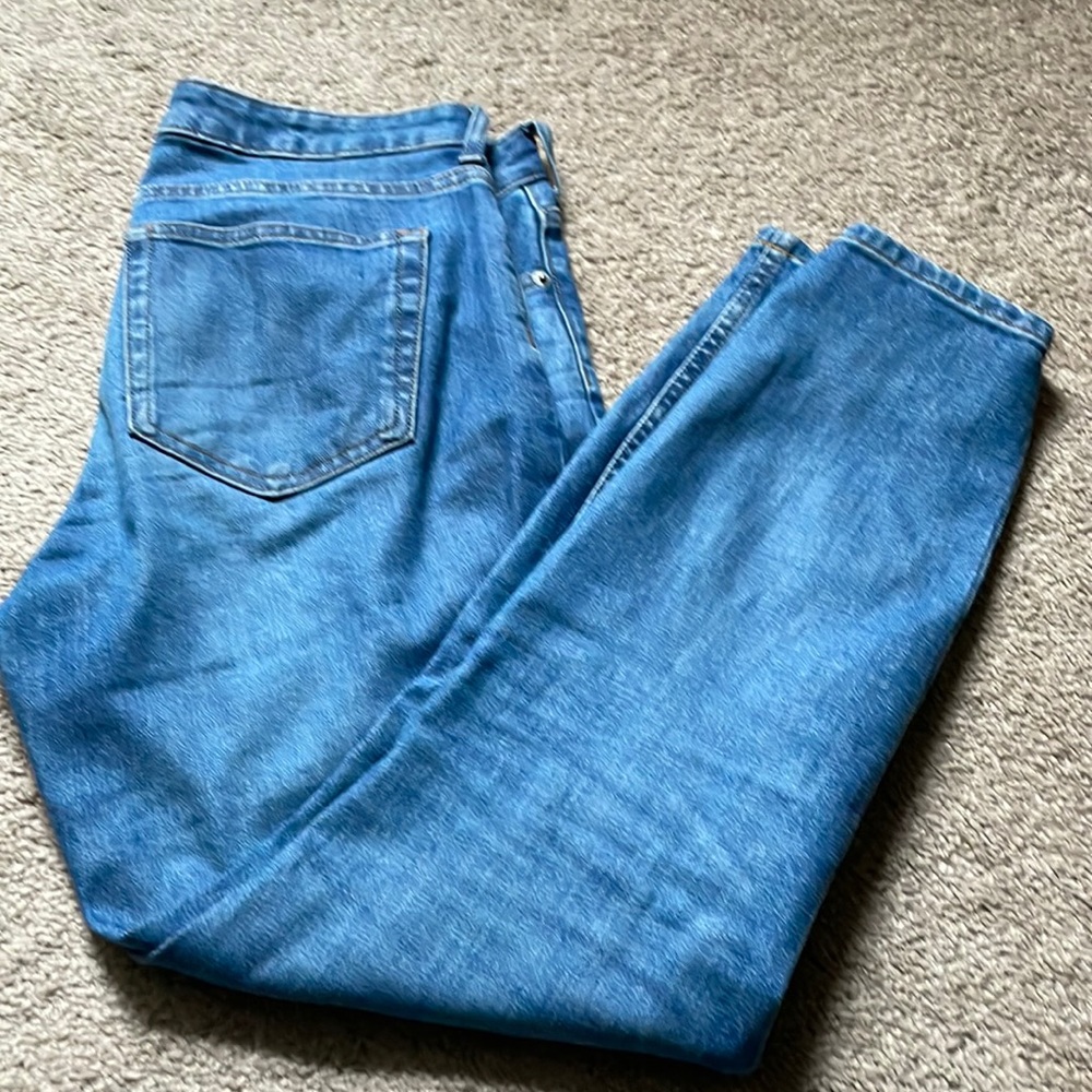 Everlane Mid Rise Ankle Jean 27